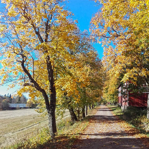Oitbackan kartanon maisemaa Kirkkonummella